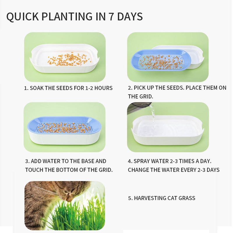 Hydroponic Cat Grass Box Growing Kit