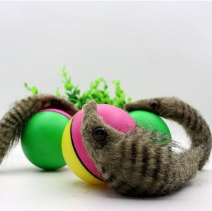 Electric Beaver Ball Cat Bath