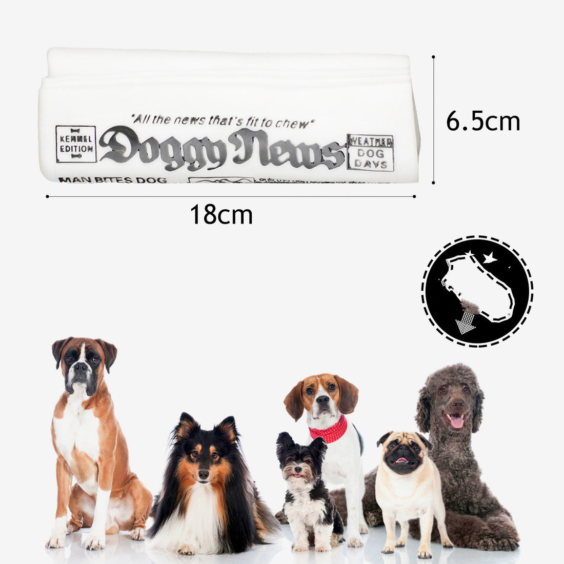 Squeaky Pet Dog Newspaper Chew Training Toy