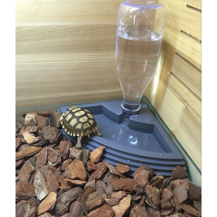 Reptile Automatic Feeding Tray/Drinking Fountain