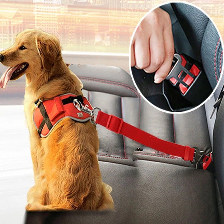 Adjustable Retractable Nylon Pet Traction Seat Belt