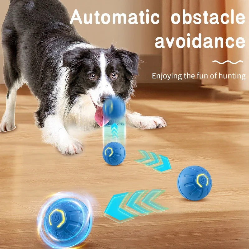 Smart Dog or Cat Toy Ball Interactive