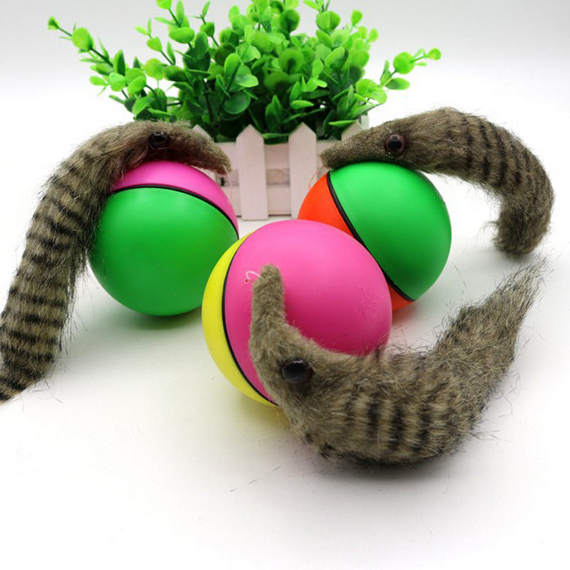 Electric Beaver Ball Cat Bath