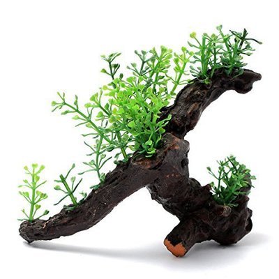 Amazon aquarium decorative wood plant