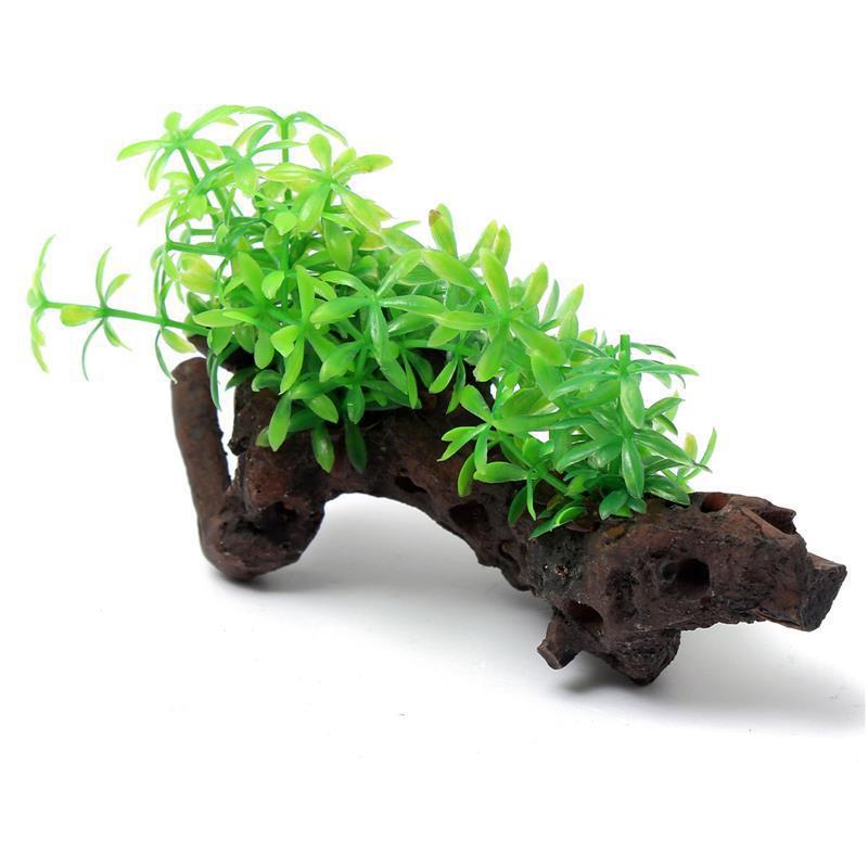 Amazon aquarium decorative wood plant