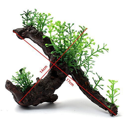 Amazon aquarium decorative wood plant