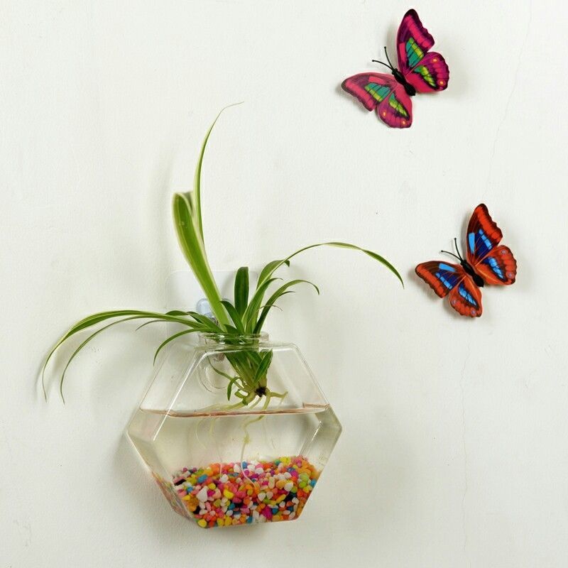 Wall-mounted Plant Fish Tank Decoration