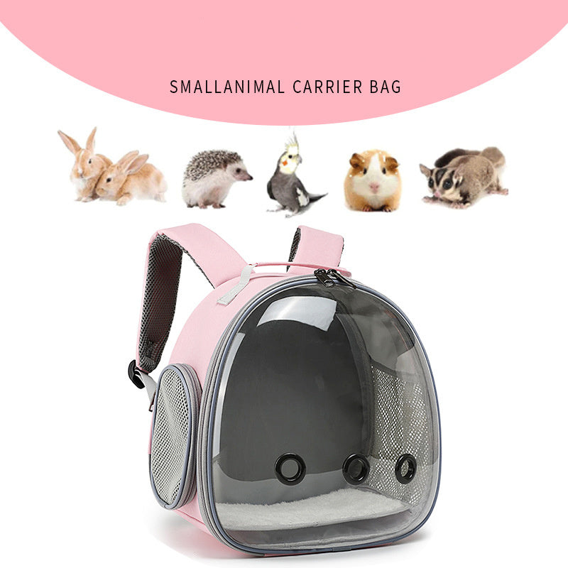 Small Pet Transparent Backpack