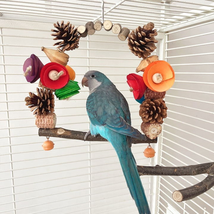 Parrot Swing With Pine Cone & Floral Decoration