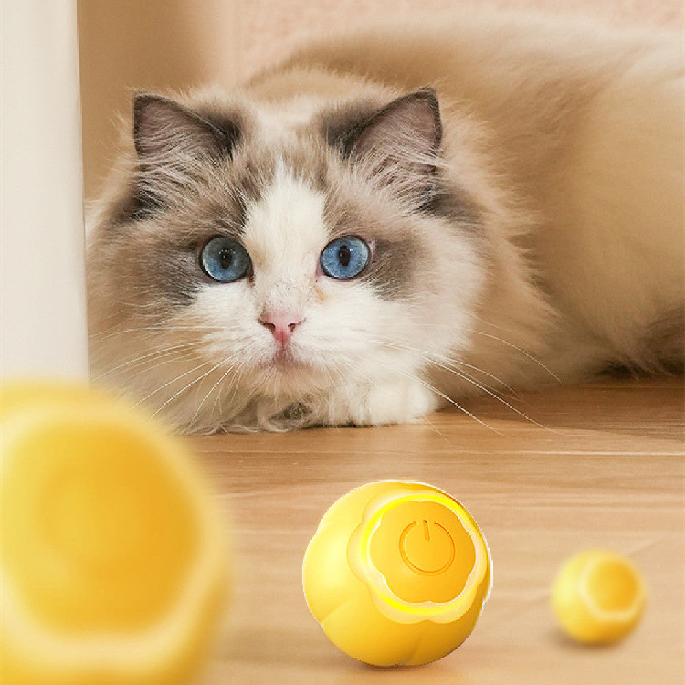 Pet Smart Rolling Ball Bite-Resistant Cat Toy