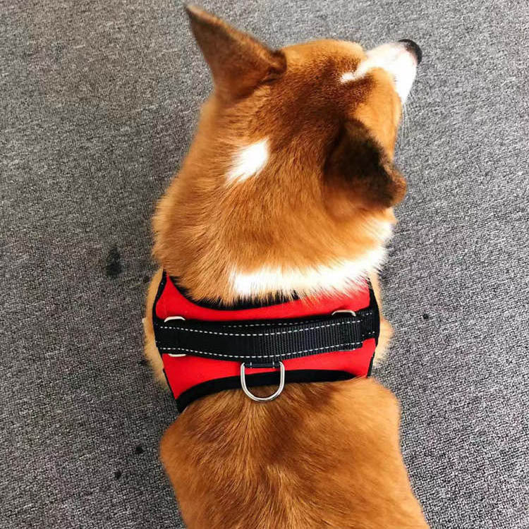 Small Dog Vest Harness With Towing Rope