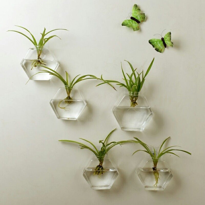 Wall-mounted Plant Fish Tank Decoration