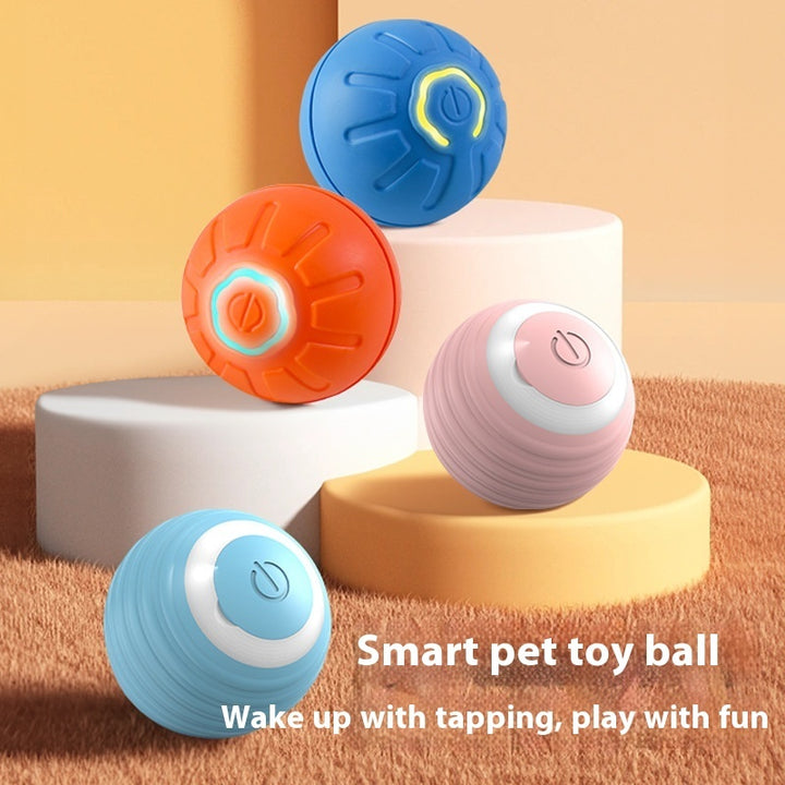 Smart Dog or Cat Toy Ball Interactive