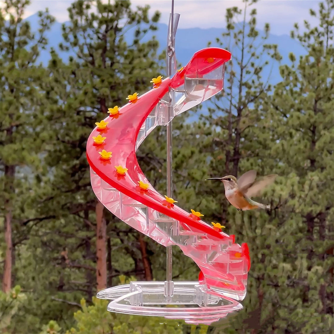 Climbing Ladder Spiral Hummingbird Feeder