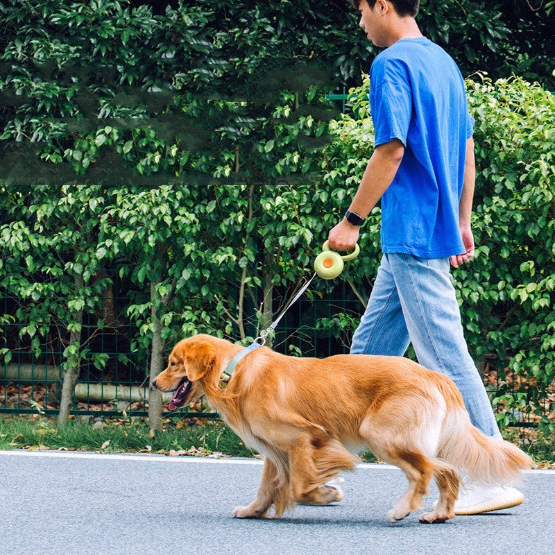 Dog Leash Retractable Reflective Rope