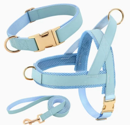 Personalized Dog Harness Leash Set