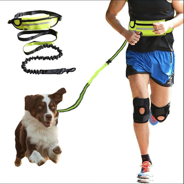 Hands Free Dog Leash & Training Belt w/Accessories