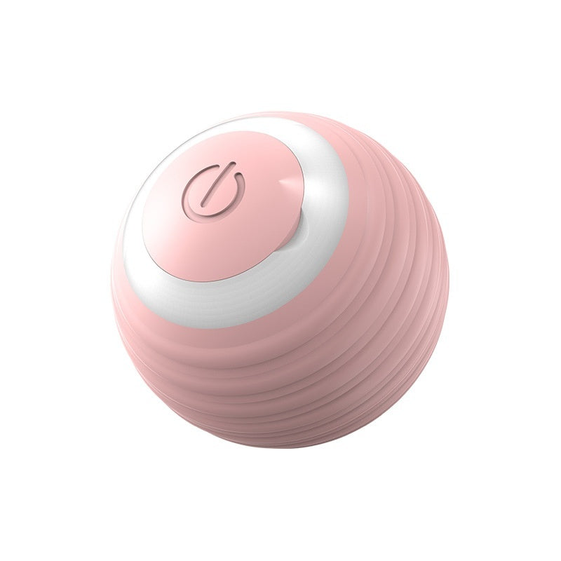 Smart Dog or Cat Toy Ball Interactive