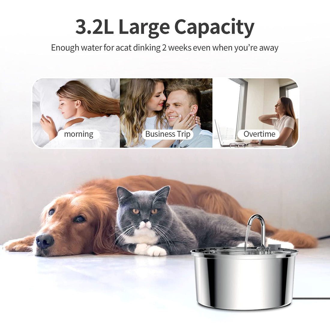 3.2L Pet Stainless Steel Water Dispenser Automatic Fountain