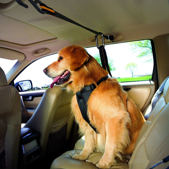 Pet Safety Traction Belt Dual-Purpose