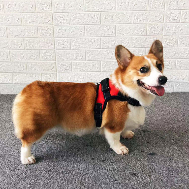 Small Dog Vest Harness With Towing Rope