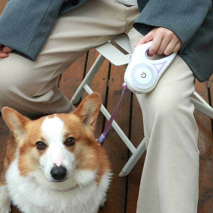 Dog Leash Retractable Spotlight Automatic Traction Rope