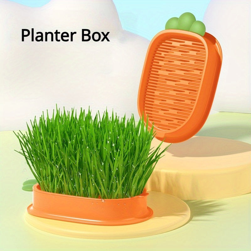 Carrot Design Cat Grass Growth Kit