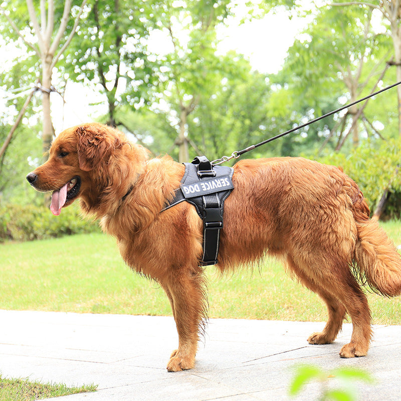 Pet Chest Strap Products