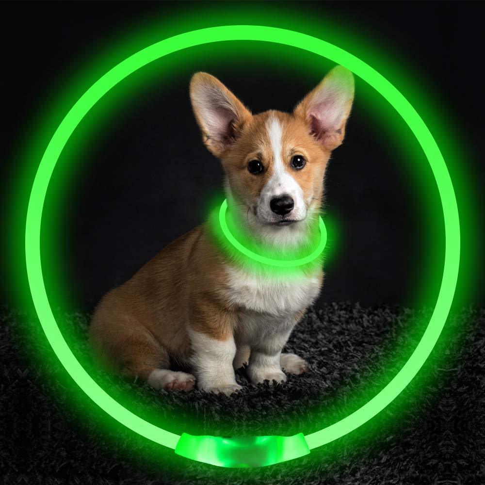 Flashing Safety Collar USB Rechargeable for Dogs