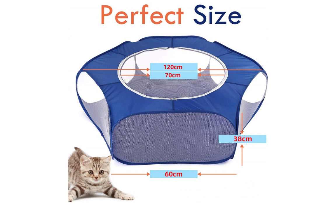 Folding Mesh Playground For Small/Medium Pets - Indoor/Outdoor