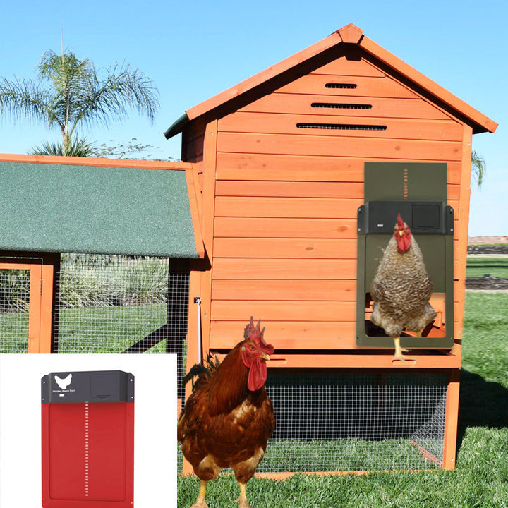 Chicken Coop Automatic Pet Door