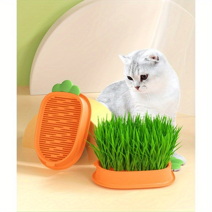 Carrot Design Cat Grass Growth Kit