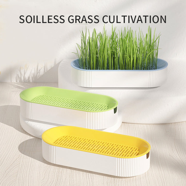 Hydroponic Cat Grass Box Growing Kit