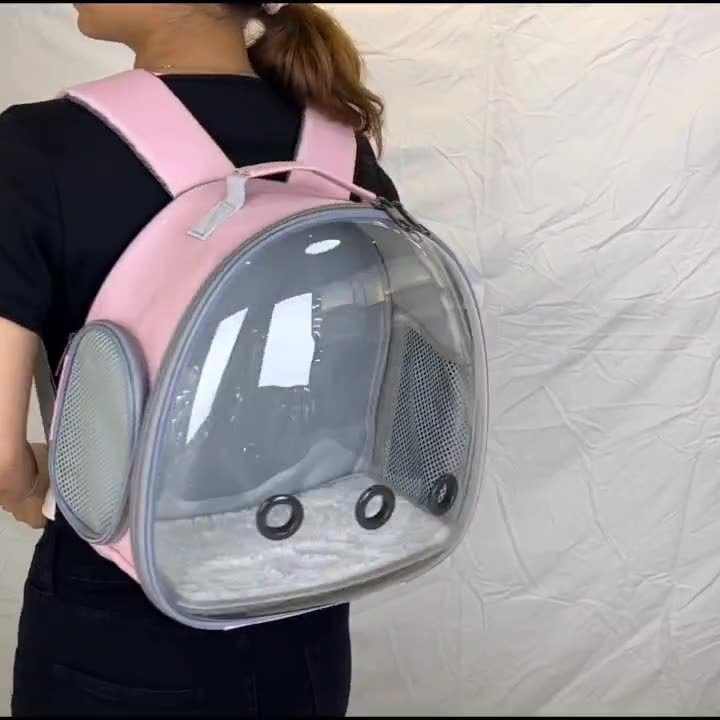 Small Pet Transparent Backpack