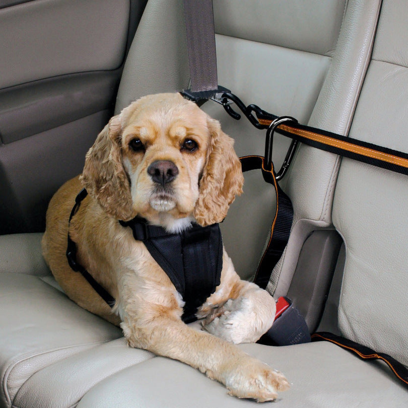 Pet Safety Traction Belt Dual-Purpose