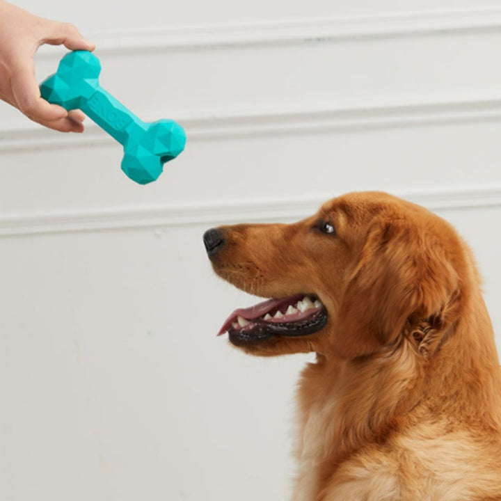 Pet Teeth Grinding Bite Resistant Rubber Bone Toy