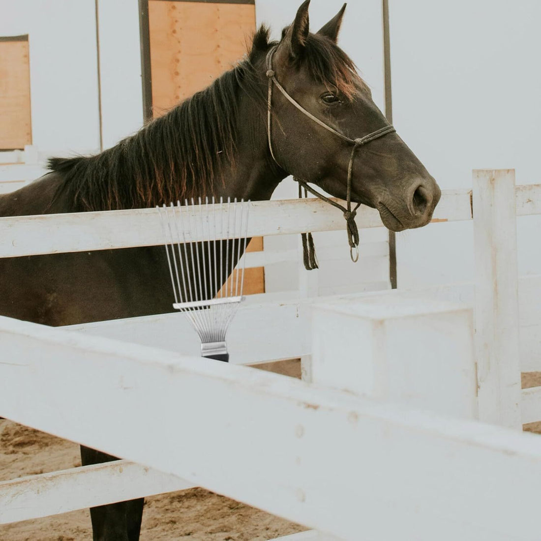 Horse Dematting Rake Comb Grooming Undercoat Scrubber