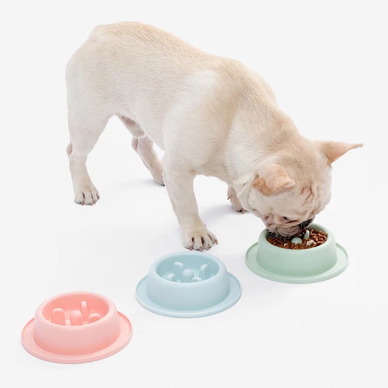 Pet Slow Eating Anti-Choking Feeder Bowls