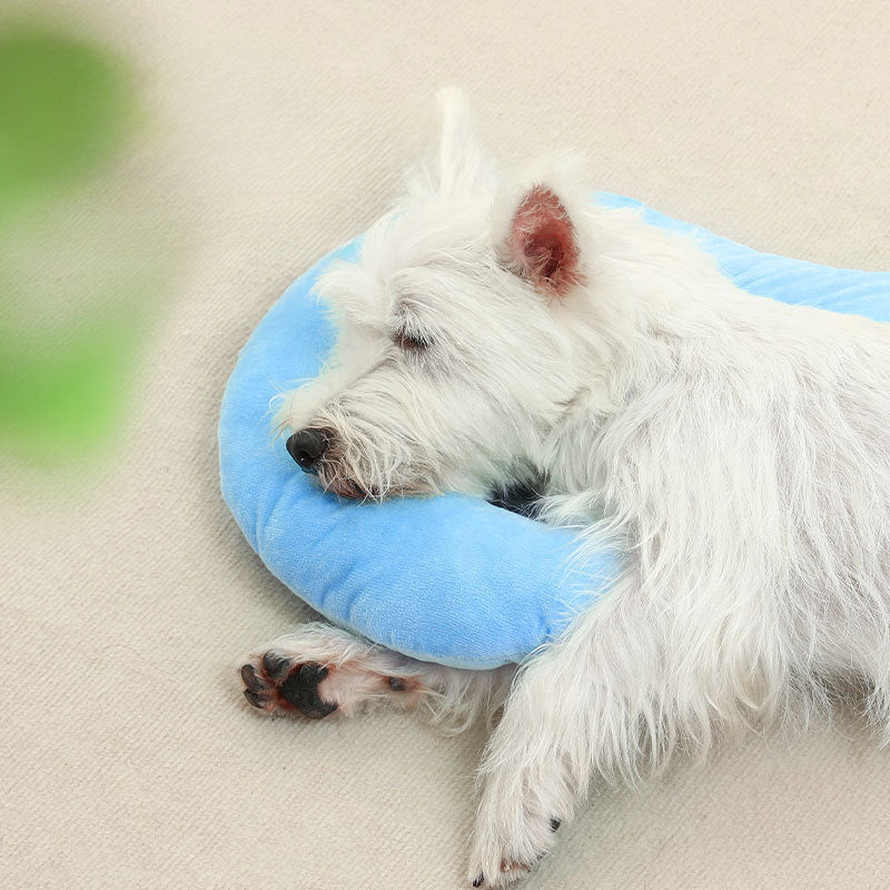 Question Mark Pillow for Cats & Dogs
