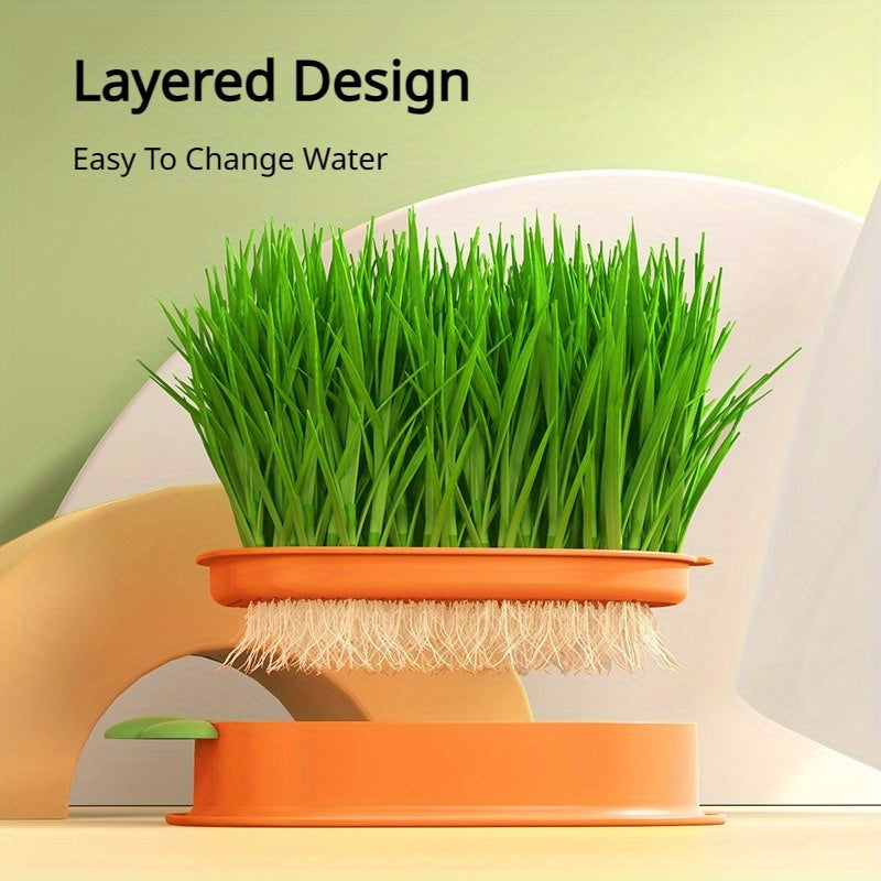 Carrot Design Cat Grass Growth Kit