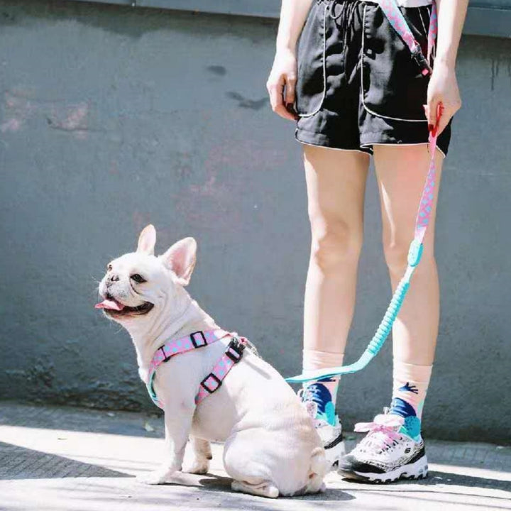 X-type Pet Traction Dog Chest Strap
